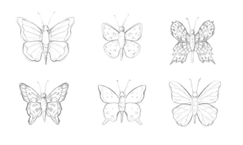 Come disegnare una bellissima farfalla?