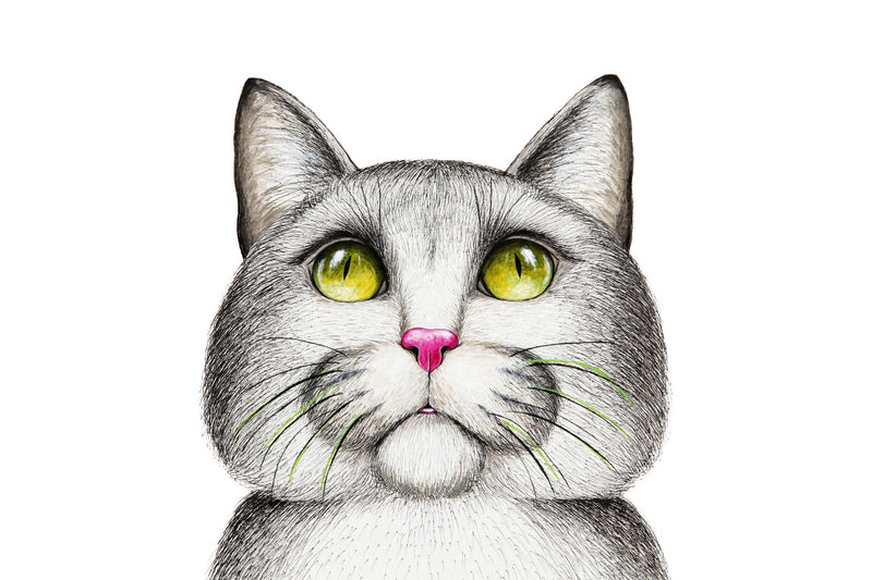 5 manieren om een kat te schilderen