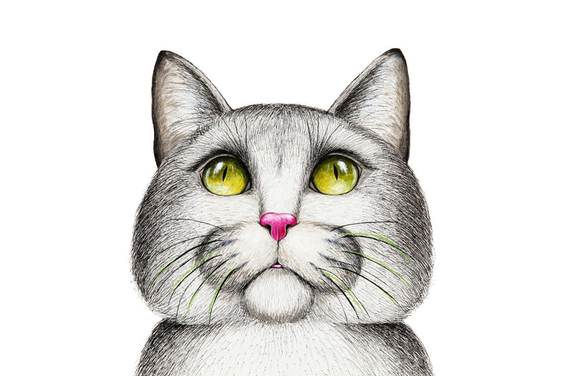 5 modi per dipingere un gatto