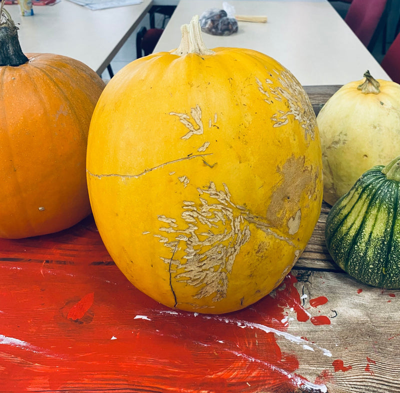 Halloween pompoen uitsnijden: zo maak je een mooie decoratie