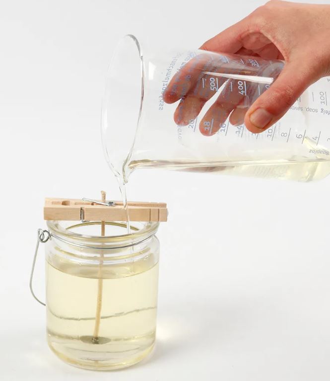 Fai da te - candele decorative con piante