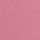 Gomma decorativa EVA 2 mm 20x30 cm | sceglie colore – , Pastel rose