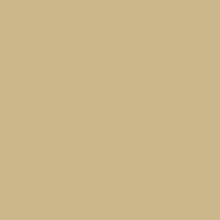 Polvere di pigmento metallico | scegli un colore – antique gold