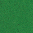 Gomma decorativa EVA 2 mm 20x30 cm | sceglie colore – , Dark green