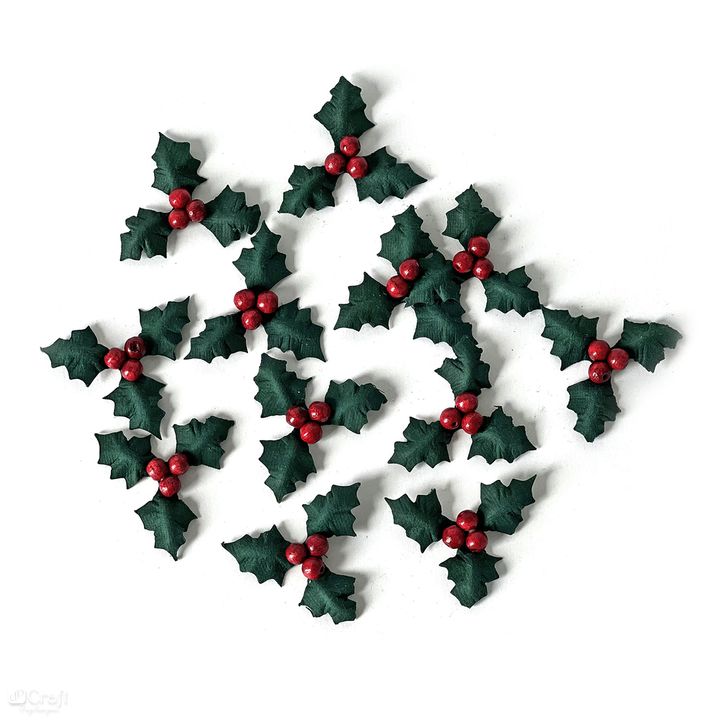 Fiori di carta 3D