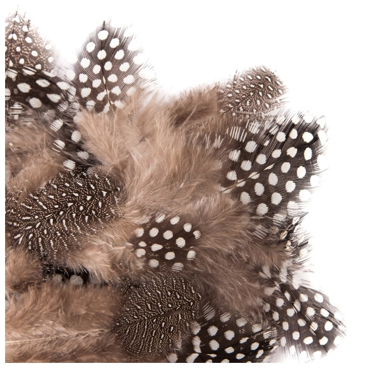 Piume della quaglia 5 - 12 cm - 5 g