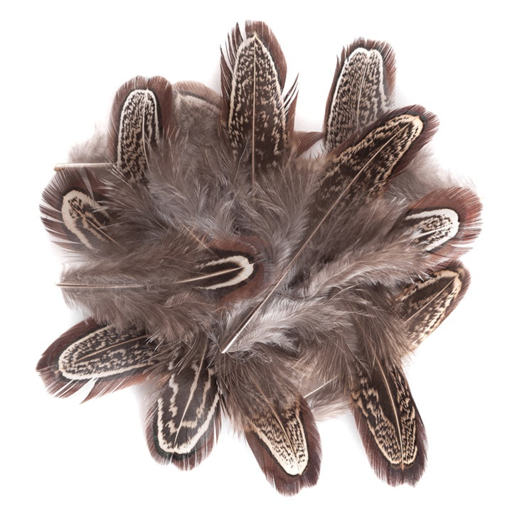 Piume decorative di fagiano scuri / 15 pezzi