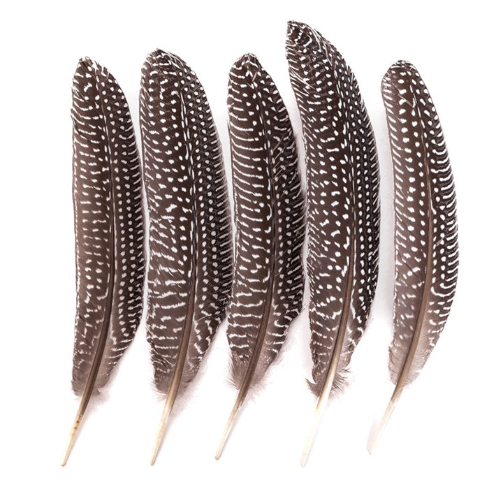 Piume decorative di fagiano grandi / 5 pezzi