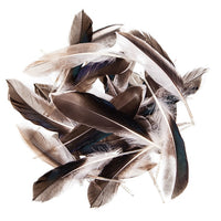 Piume d'anatra 10-15 cm, 10 g