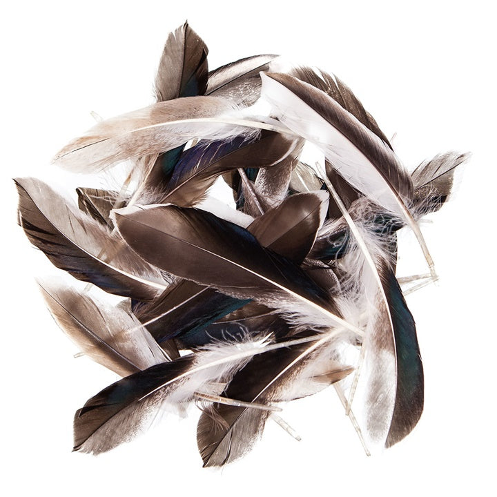 Piume d'anatra 10-15 cm, 10 g