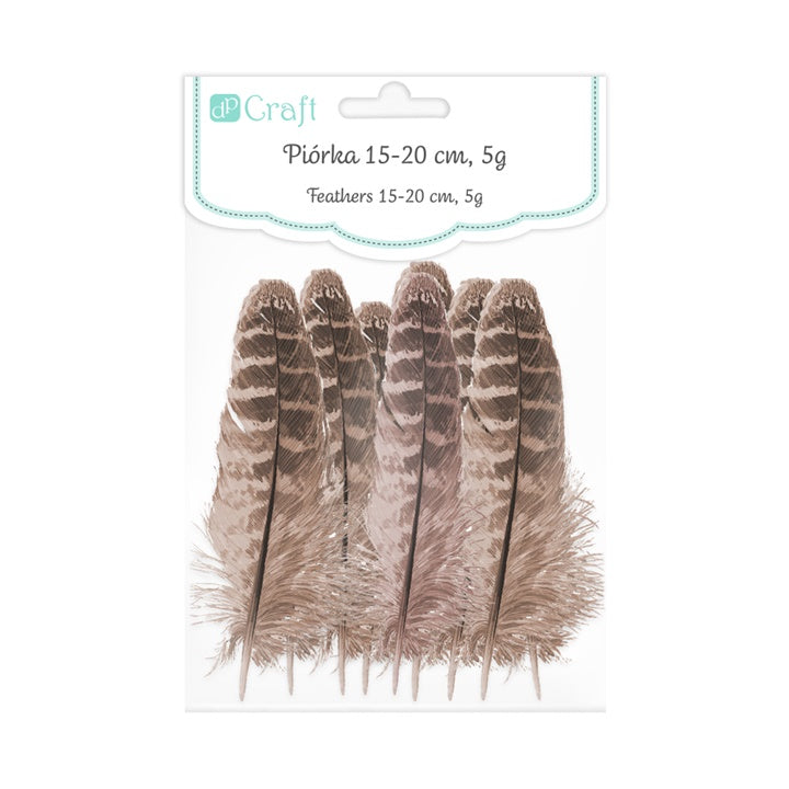 Piume d'anatra 15-20 cm, 5 g