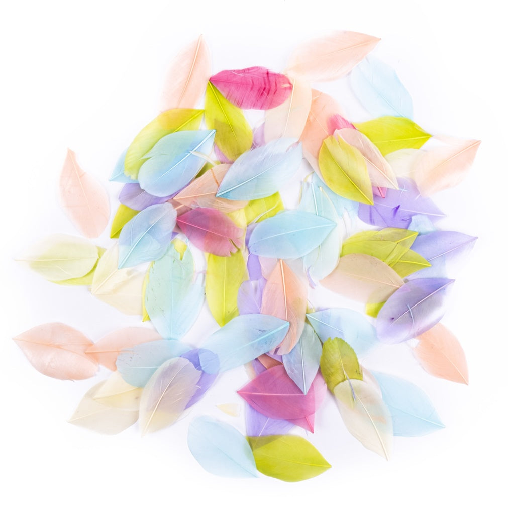 Piuma decorativa 6 cm - 5g - Pastello