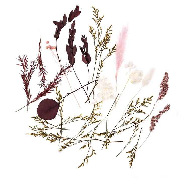 Mini bouquet secco "Burgundy Queen" / 20 cm