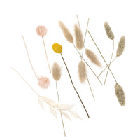 Mini bouquet secco "Beige Touch