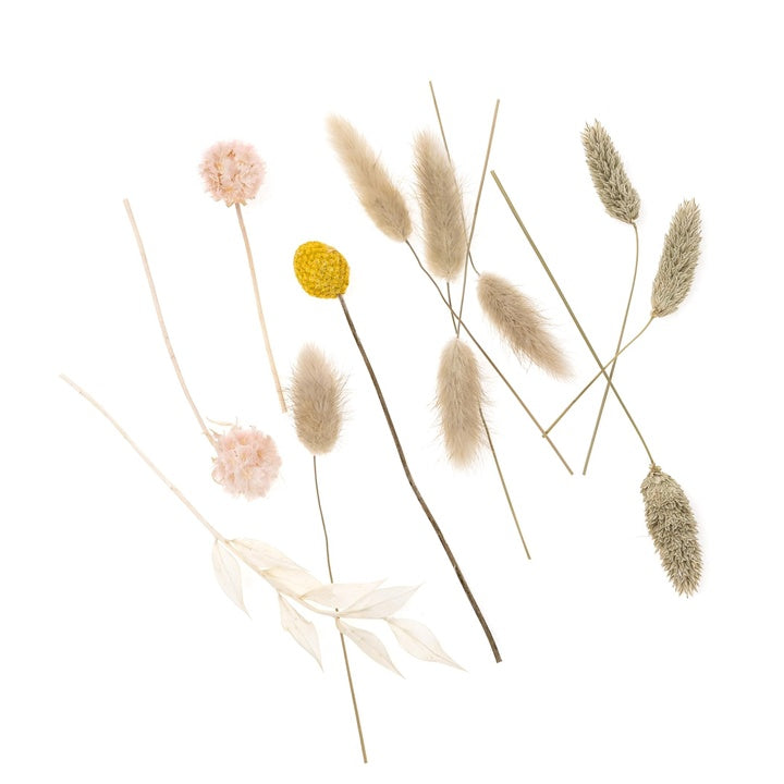 Mini bouquet secco "Beige Touch