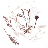 Mini bouquet secco "Miss Malva" / 20 cm