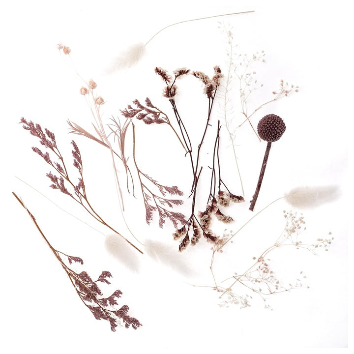 Mini bouquet secco "Miss Malva" / 20 cm
