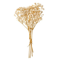 Gypsophila naturale / 4 steli, 20 cm