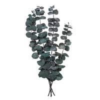 Eucalipto stabilizzato Baby Blue / 4 steli, Verde, 20 cm