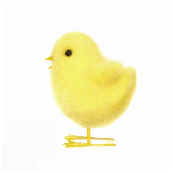Pollo pasquale 7,5 cm