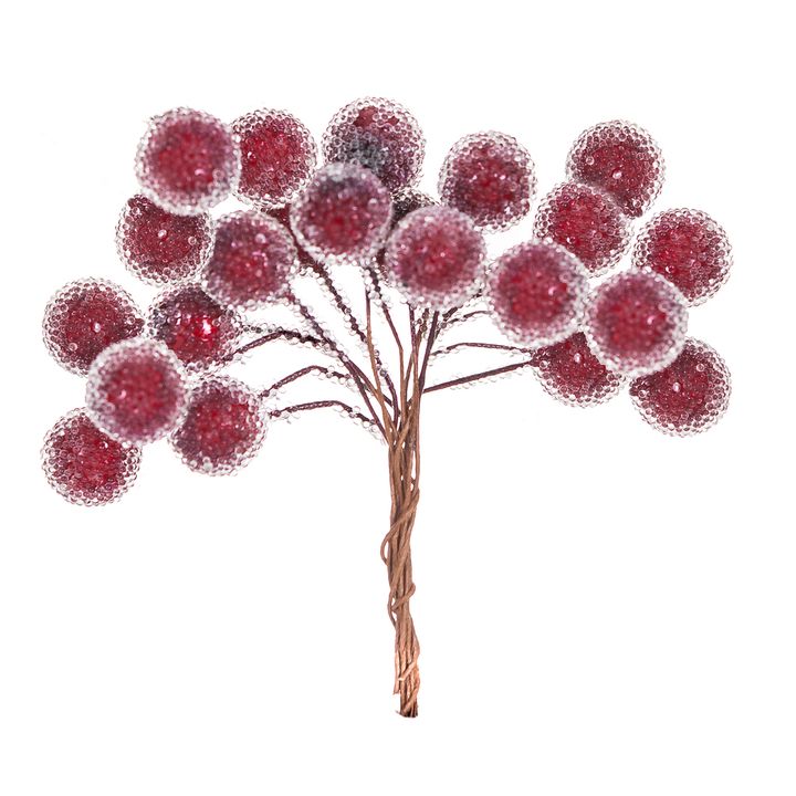Ramoscelli decorativi 3D con bacche rosse