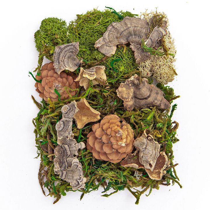 Miscela di muschio ed elementi naturali 30 g