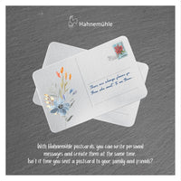 Cartoline Hahnemühle WatercolourBox