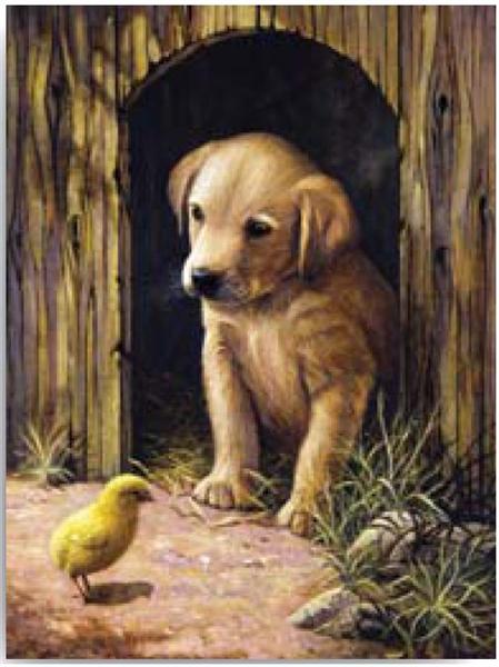 Libretto di disegni - Cucciolo di labrador
