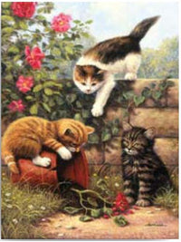 Libretto di disegni - Gattini
