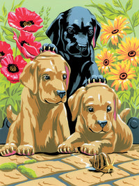 Set creativo da colorare A4 - Cuccioli di Labrador