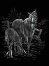 Engraving art™ - Cavalla & Puledro
