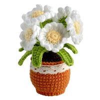 DIY Kit uncinetto vaso di fiori margherita