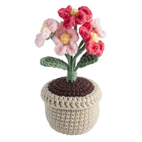 DIY Kit uncinetto vaso di fiori rosa