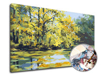 Dipingere con i numeri PREMIUM GOLD | Lago