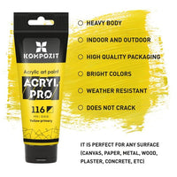 ACRYL PRO PROFESSIONAL Set di colori acrilici 12x75 ml