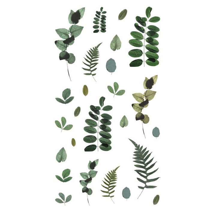 Adesivi decorativi in PVC | foglie, 33 pz — immagine 3