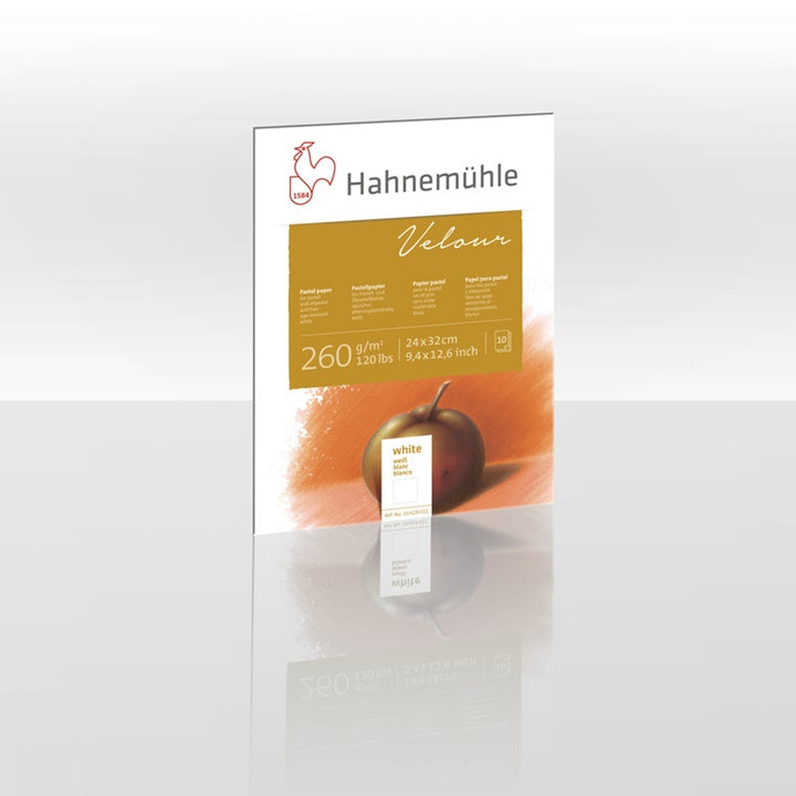 Blocco di carte pastello bianche HAHNEMÜHLE VELOUR | dimensioni diverse