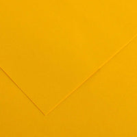 CANSON Iris Vivaldi carta colorata 50 x 65 cm, 240 g – Ranuncolo 5