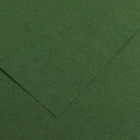CANSON Iris Vivaldi carta colorata 70 x 100 cm 240 g 25 fg – Abete 31