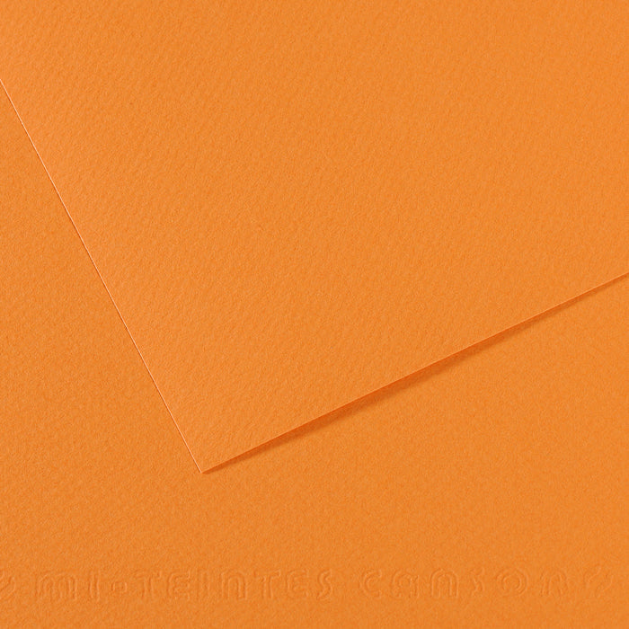 Canson Mi-Teintes carta per pastello 50 x 65 cm 160 g 25 fg – Camoscio 384