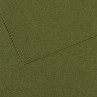 Canson Mi-Teintes carta per pastello 50 x 65 cm 160 g 25 fg – Edera 448