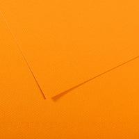 Canson Mi-Teintes carta per pastello 50 x 65 cm 160 g 25 fg