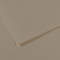Canson Mi-Teintes carta per pastello 50 x 65 cm 160 g 25 fg – Ostrica 340