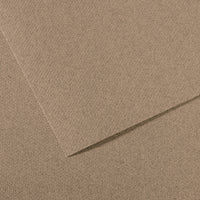 Canson Mi-Teintes carta per pastello A4 160 g/m² 25 fogli – Grigio Acciaio 431