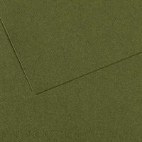 Carta colorata CANSON Mi-Teintes 50 x 65 cm – 160 g/m² – Edera 448