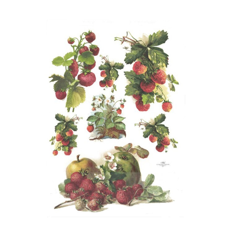 Carta di riso A4 ITD - Fragole