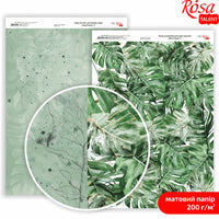 Carte per scrapbooking King Protea A4