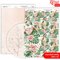 Carte per scrapbooking King Protea A4