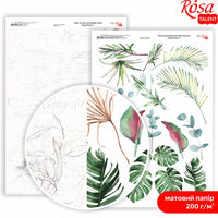 Carte per scrapbooking King Protea A4