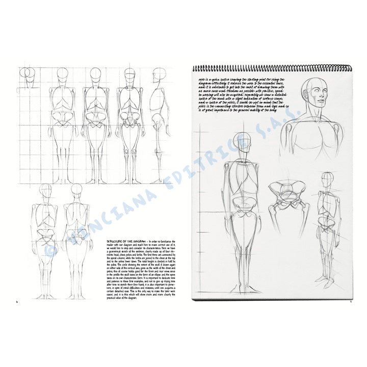 Collezione Leonardo 02 Fondamenti di disegno